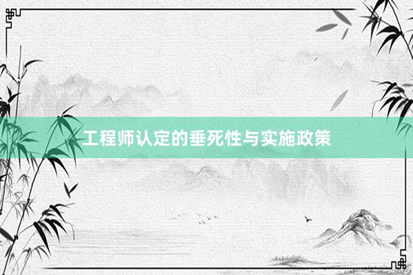 工程师认定的垂死性与实施政策